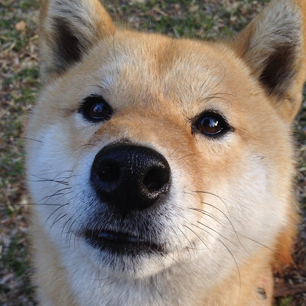 开云体育-APEX英雄 青年联赛新星崭露头角，apex青训