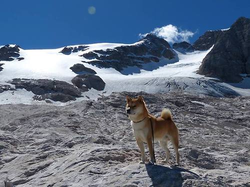 开云体育-_掘金队士气高昂，迎难而上_，掘金队实力如何