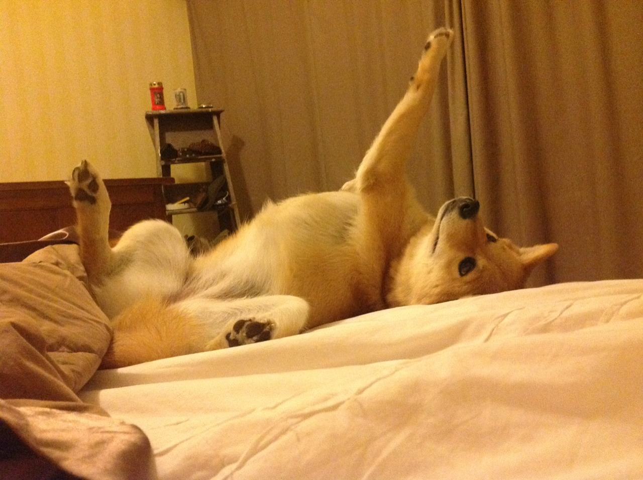 _极地白夜跑：在极光照耀下追逐梦想_，极地的白天黑夜是怎样的