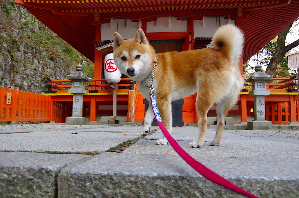 kaiyun登录入口-_虚拟实境极限攀岩：精准操作突破极限_，真实攀岩游戏