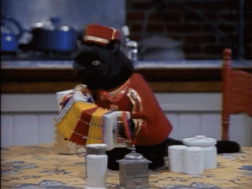 “荣耀瞬间:冠军车手的感人时刻”,荣耀夺冠