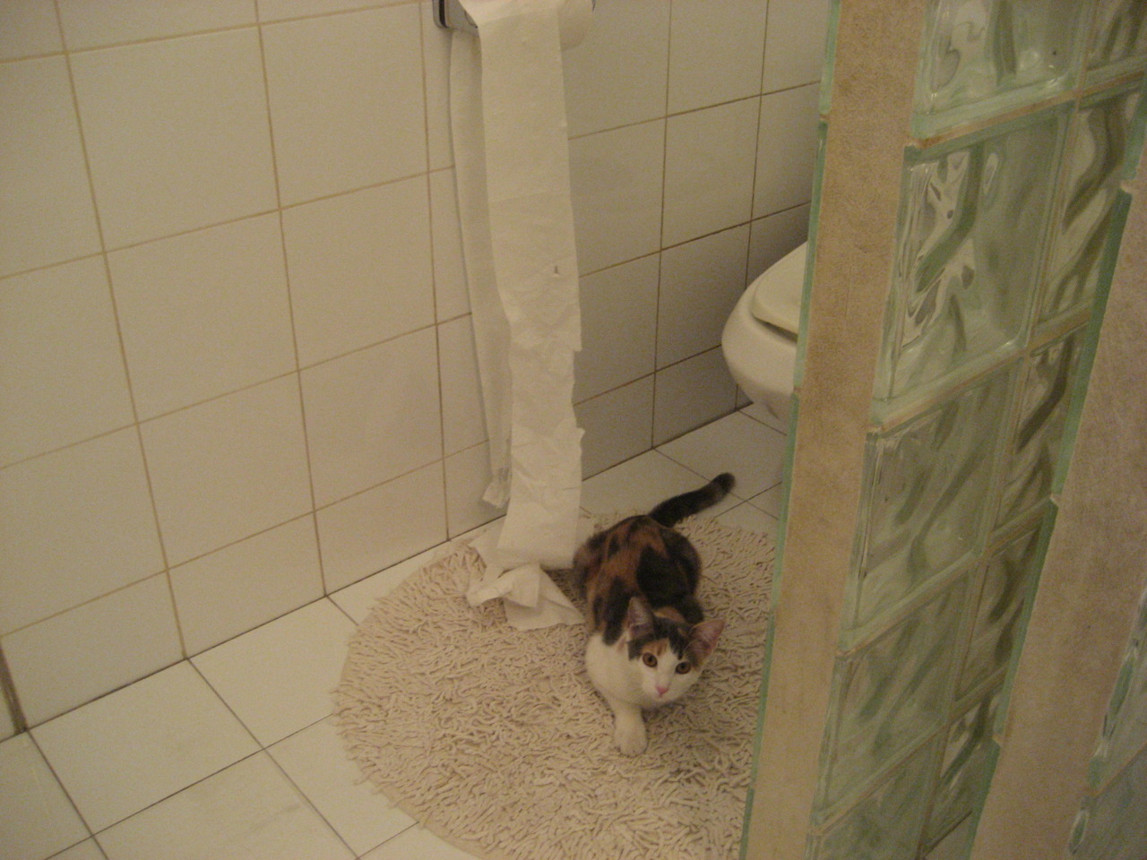 《2025英雄联盟全球总决赛，战火再燃，精彩无限》，20年lol全球总决赛