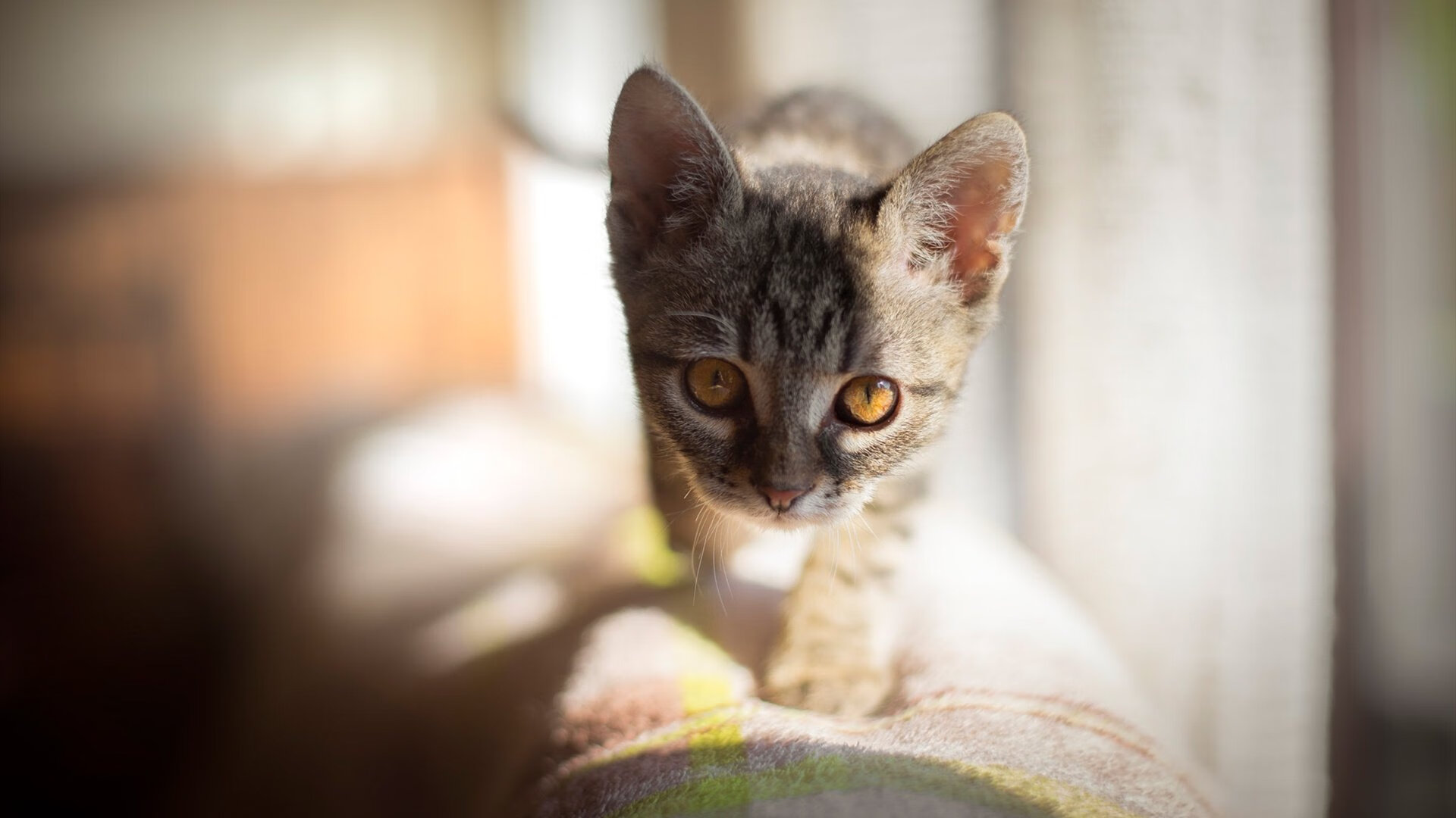 利物浦依靠高强度逼抢，逆转热刺震惊赛场，利物浦ⅴs热刺