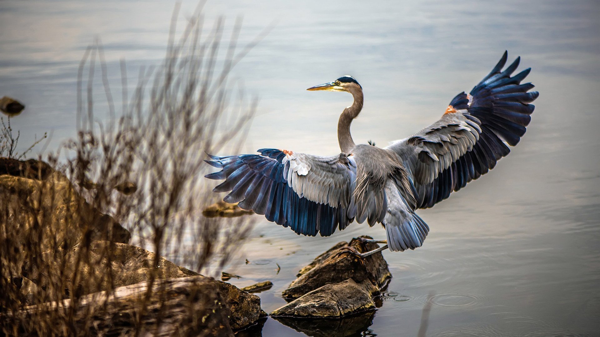 尤文图斯迎来新血液,战绩逐步回暖,尤文图斯 百科