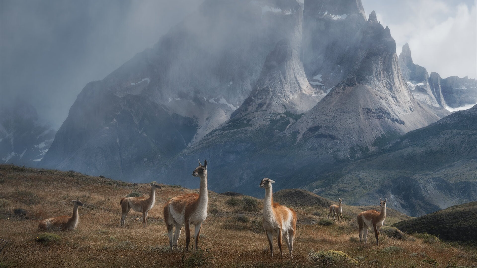 水上跃动—水上瑜伽引领健康新风潮,水上运动