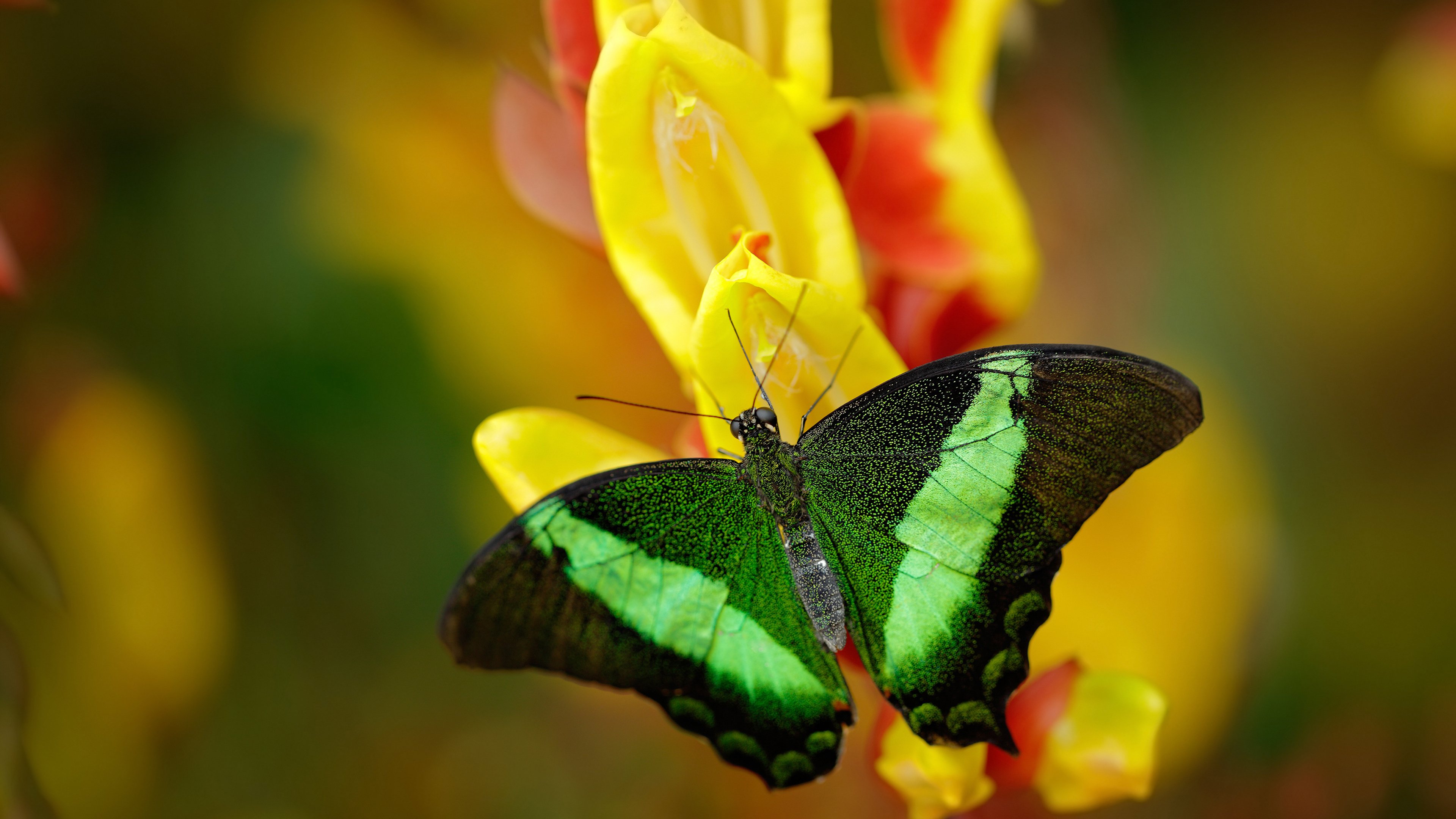 Kaiyun(中国)开云-特色农村篮球运动示范点不断扩大，推动基层体育健康发展，农村篮球发展现状