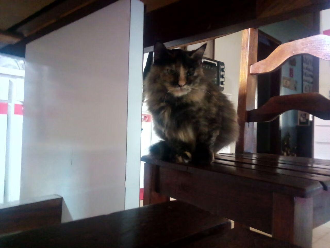 开云·Kaiyun网页版-热火队防守体系再次升级，热火队防守体系再次升级是哪一年