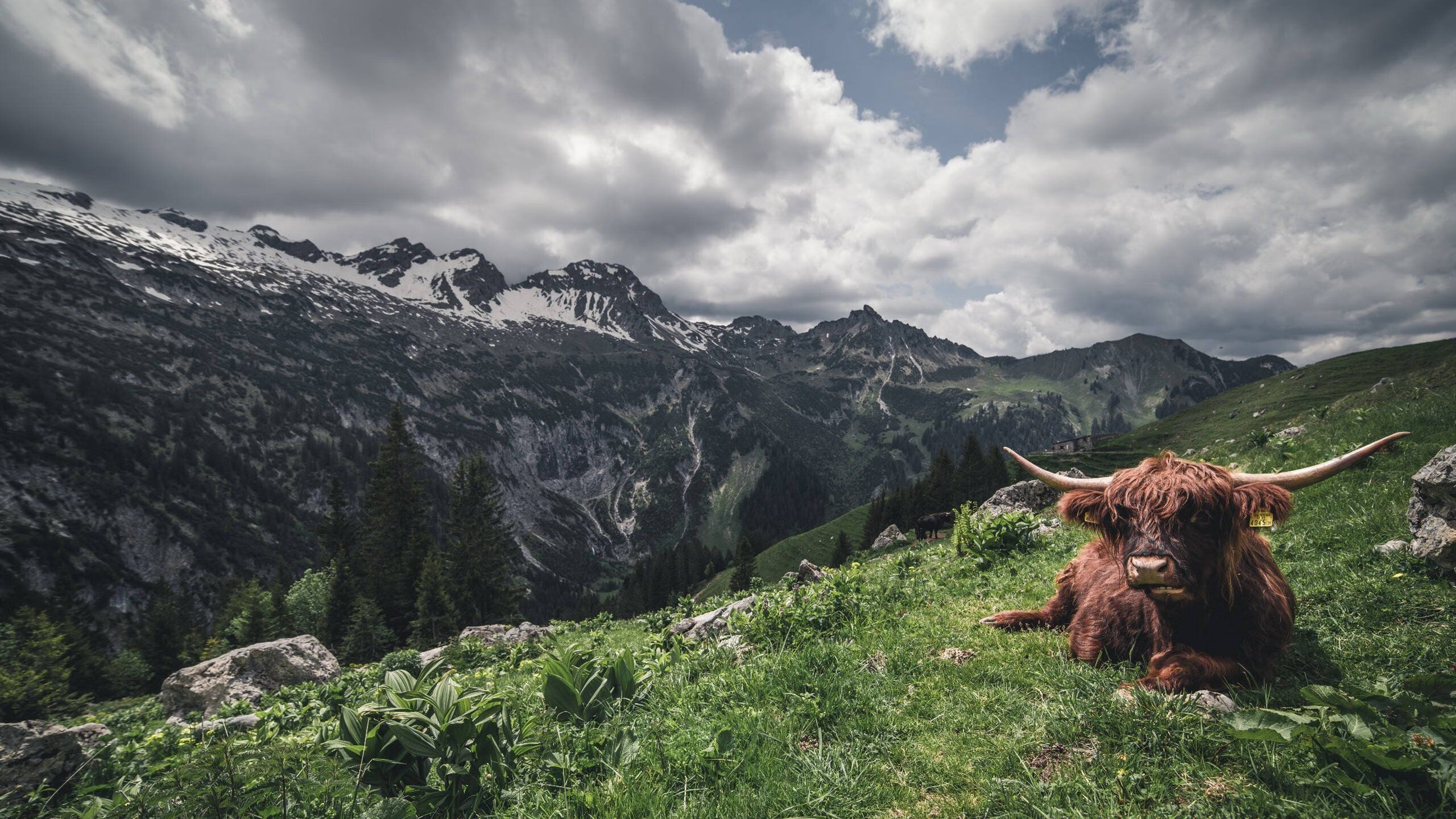 篮球训练科技助力运动员技能精准提升,篮球技能培训