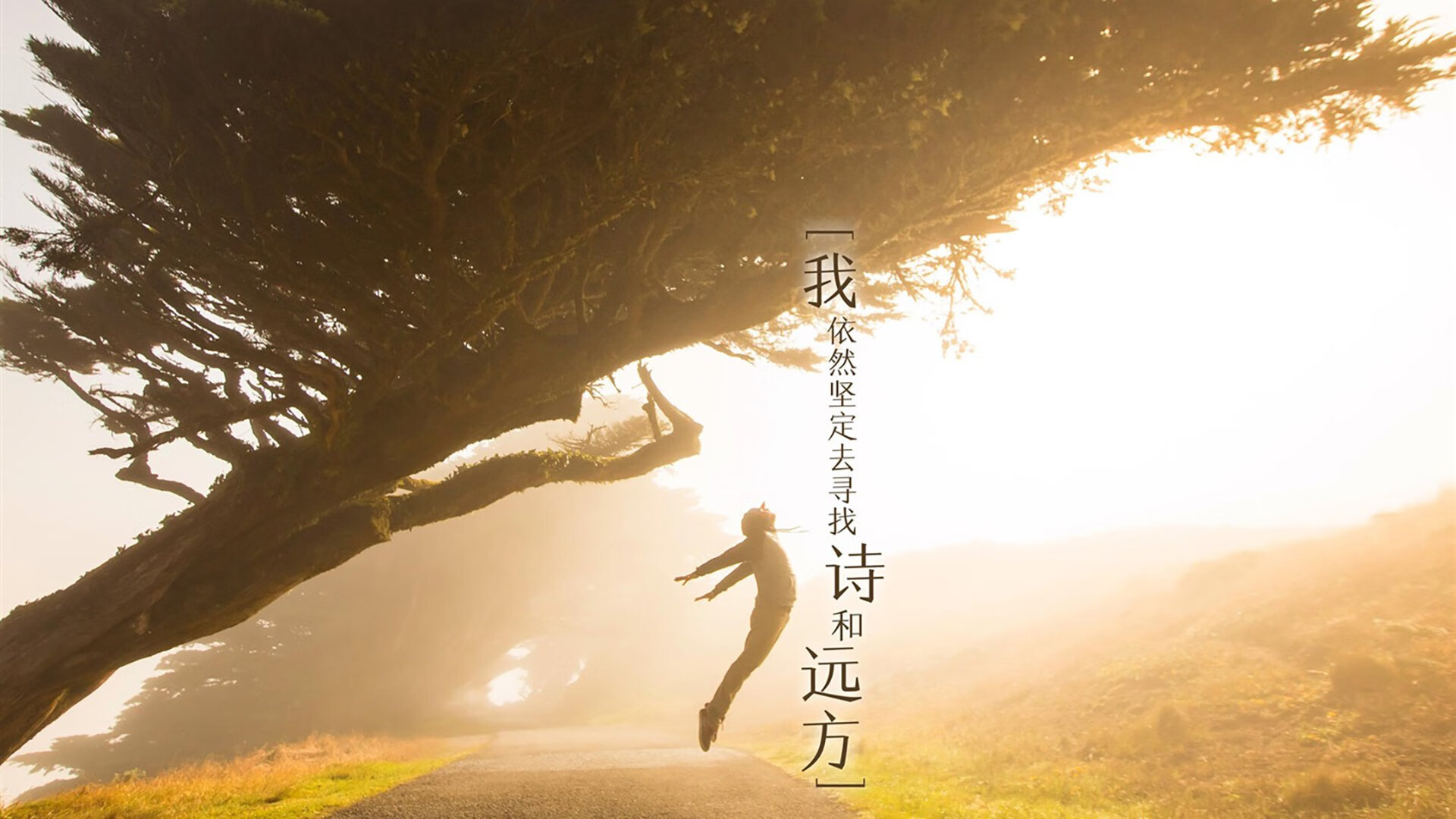 开云网页版-赛事创新：采用虚拟仿真技术模拟比赛场景，虚拟仿真赛道竞赛