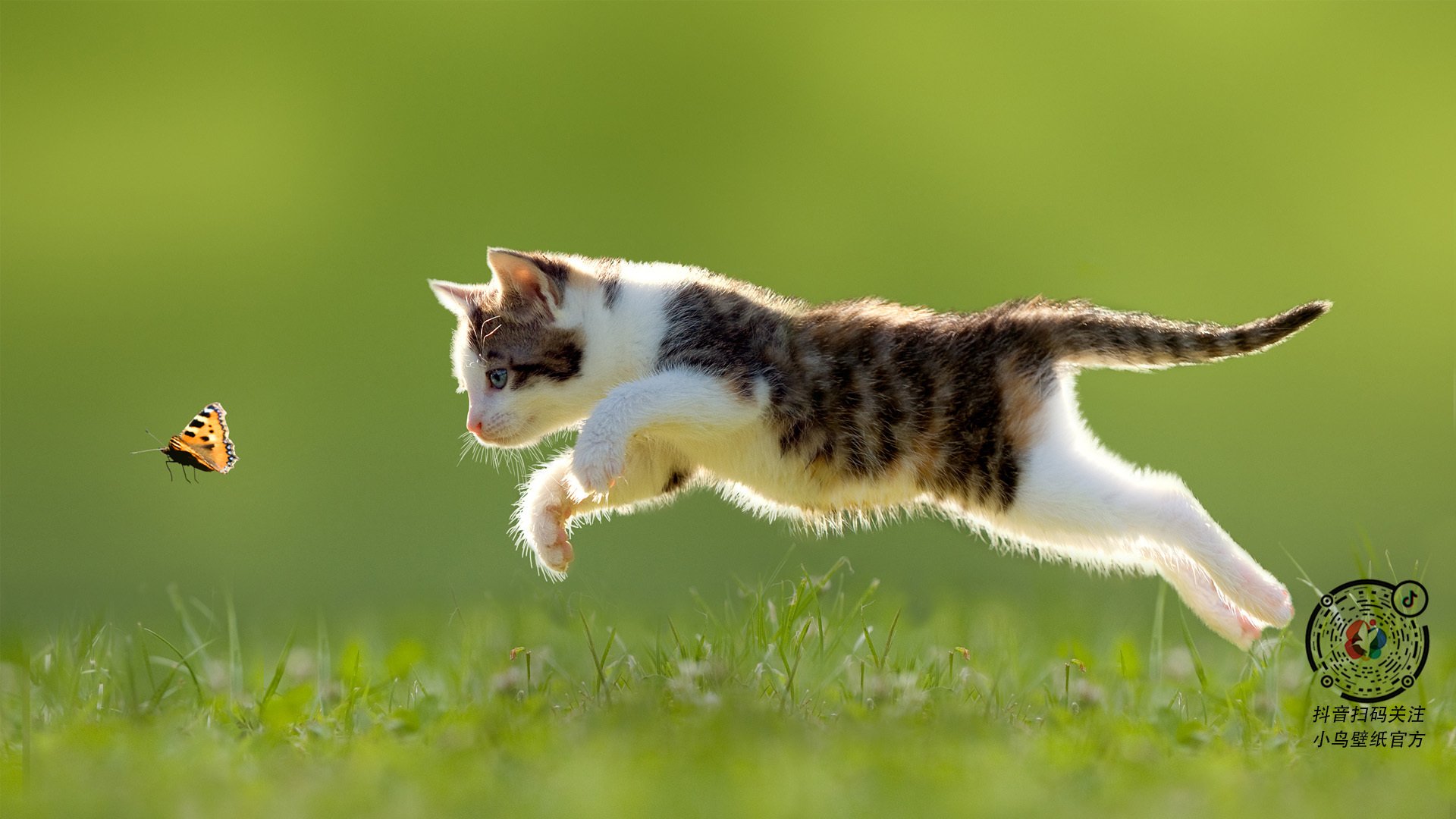 kaiyun网站-车队背后的故事：团队如何协作冲击冠军？，车队合作模式