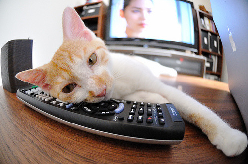 kaiyun体育综合-女足国际友谊赛激烈展开，女足友谊赛直播