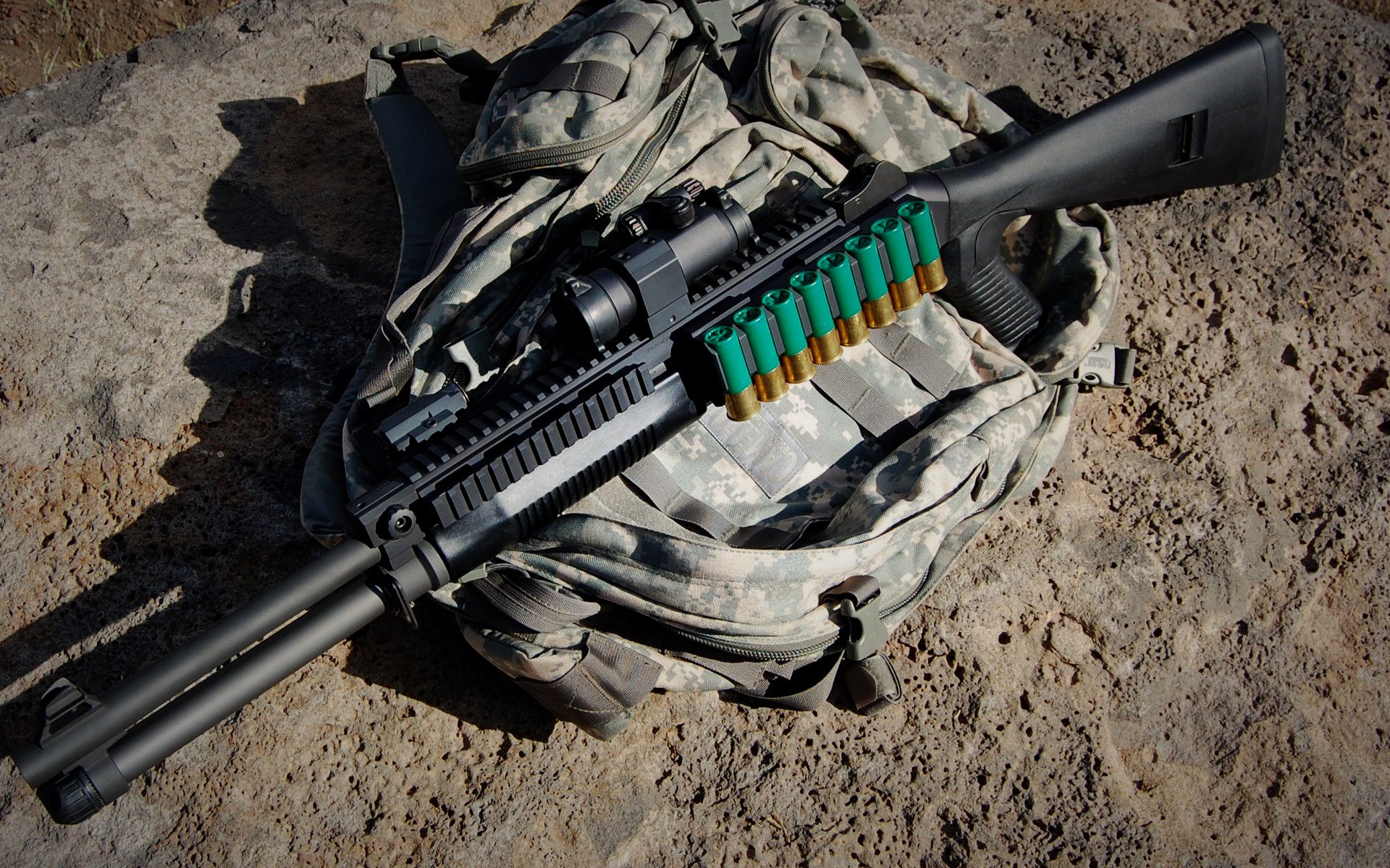 开云官方网站-瑞士马术协会建立马匹基因数据库，促进马匹选育与训练。，瑞士骑马