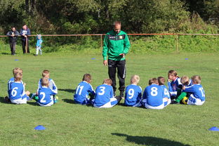 开云网站-德甲球队战术模拟平台辅助比赛策略调整的应用研究，德甲游戏