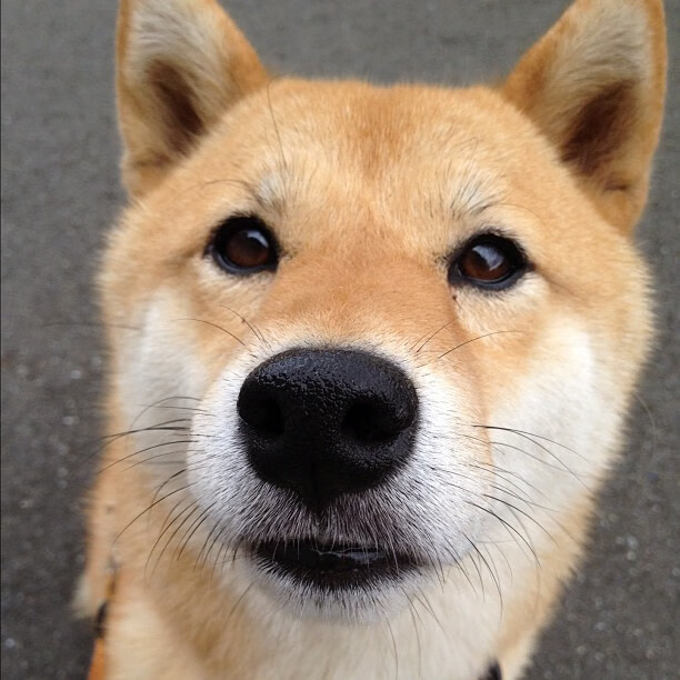 中国男篮备战世界杯 加强战术磨合,中国男篮备战世界杯 加强战术磨合了吗