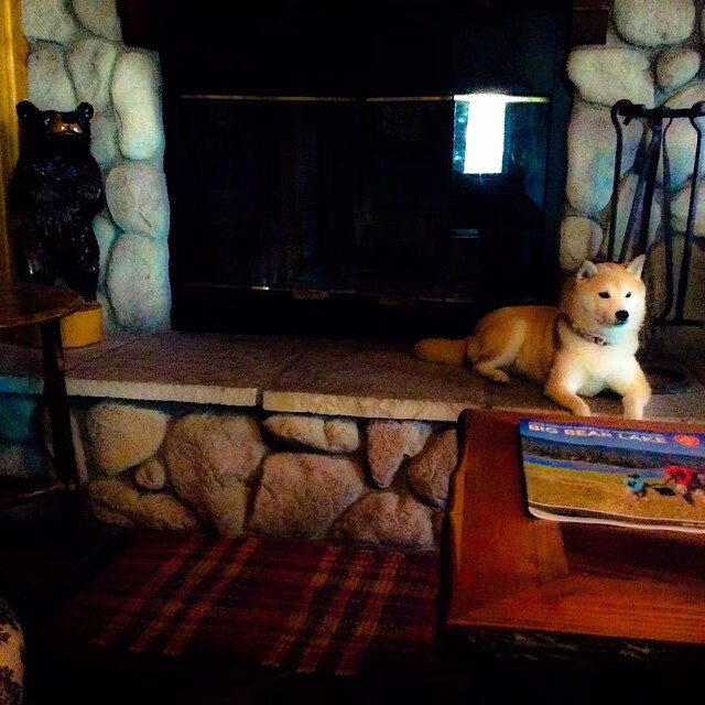 五大联赛是否通过战术层级管理提升临场灵活性，五大联赛水平