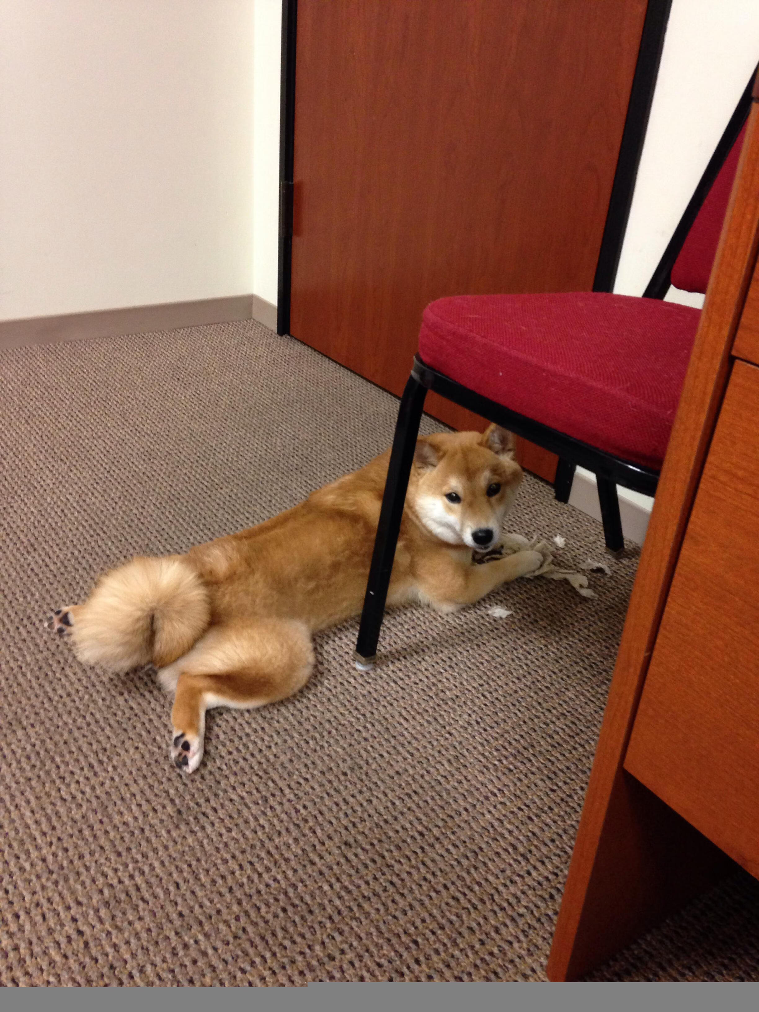 训练方法创新促进成绩突破，如何训练创新能力