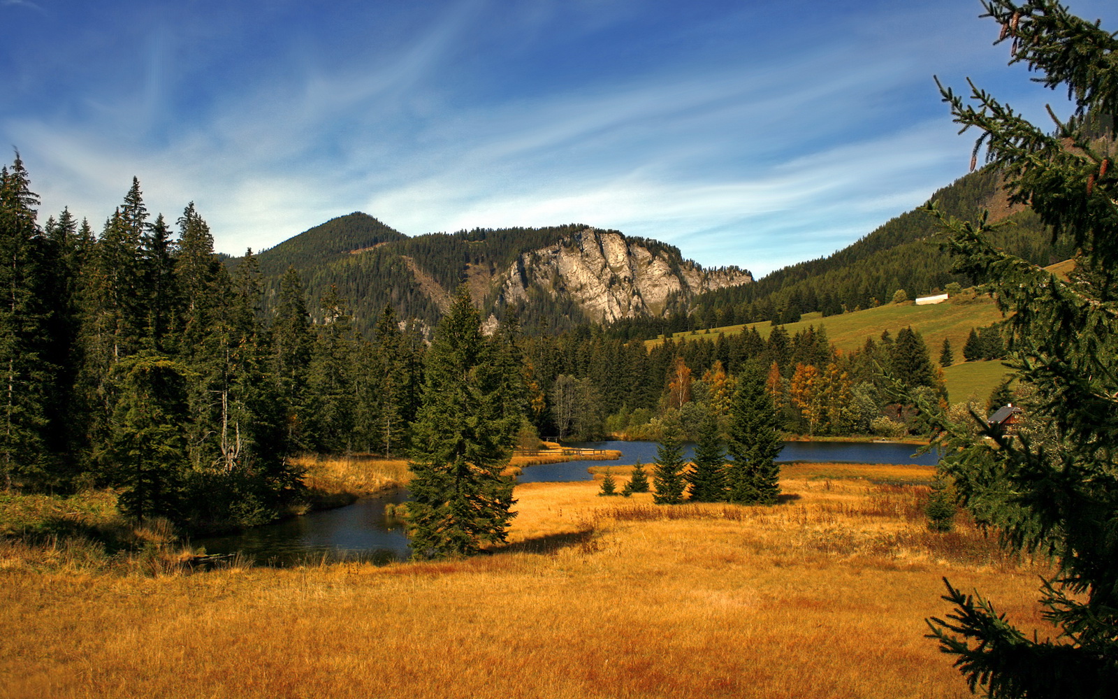 马龙与林高远合作创佳绩,混双项目走向未来,马龙指导林高远