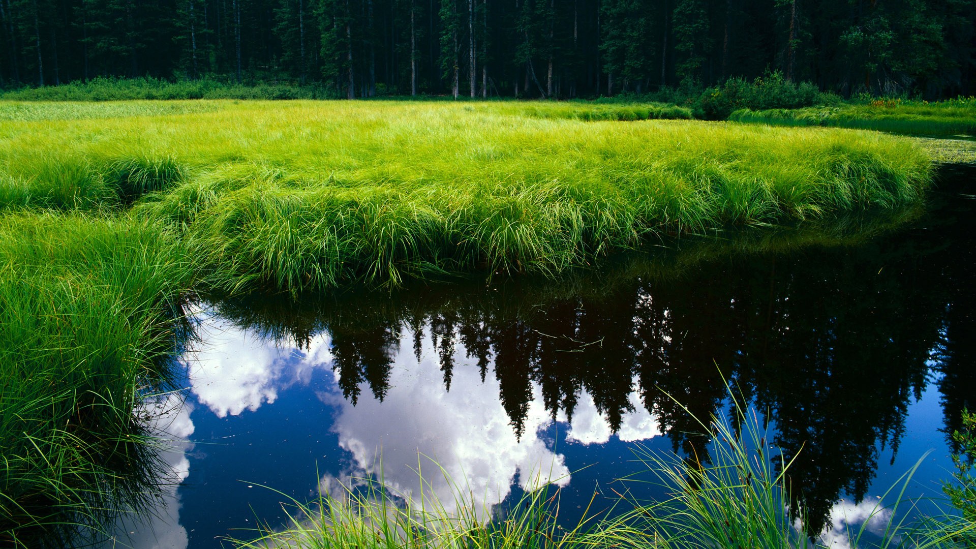 欧洲杯史诗逆转:永不放弃的足球精神,欧洲杯的魅力