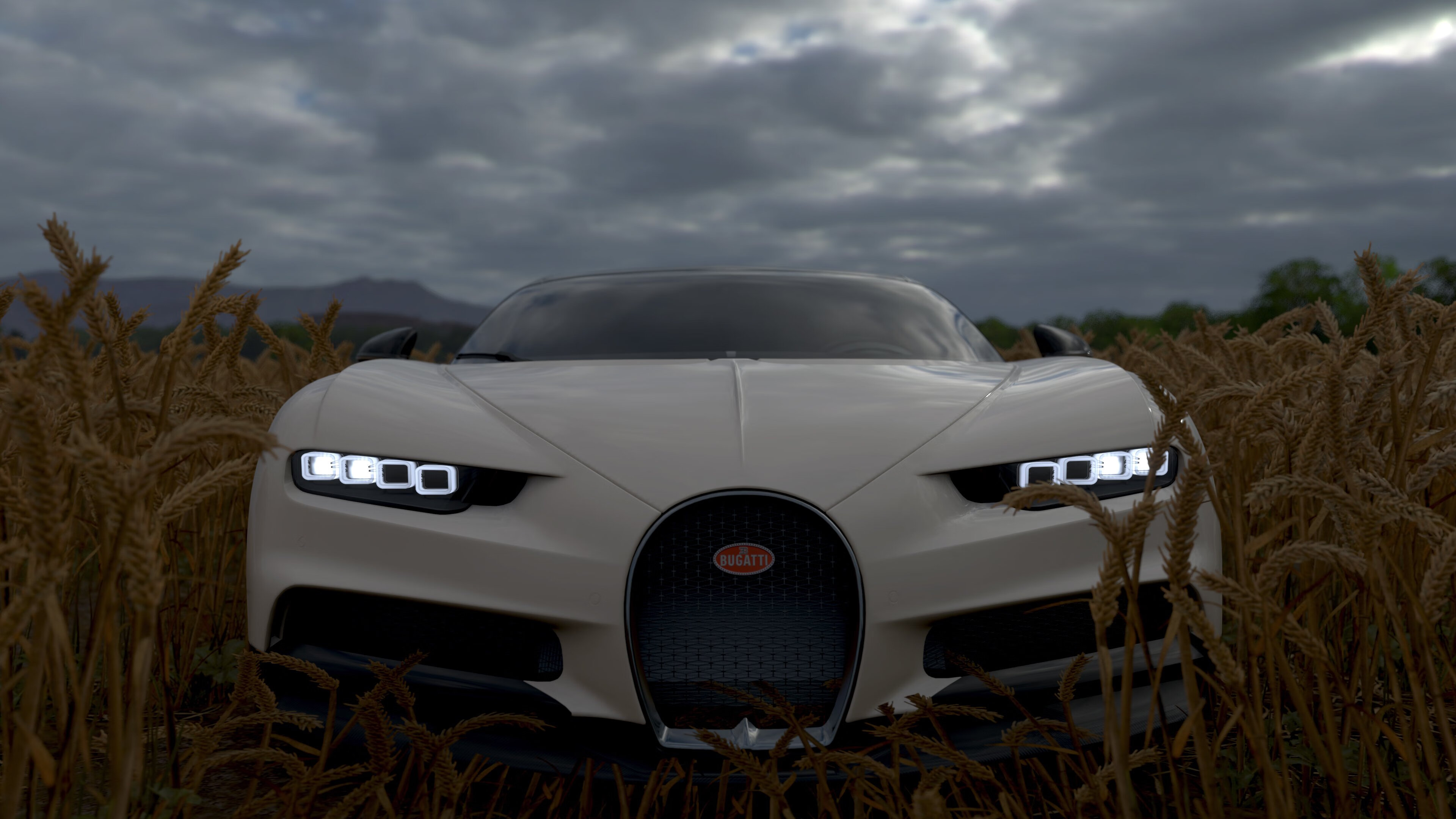 澳大利亚橄榄球强化青训和发展基金,澳大利亚橄榄球队