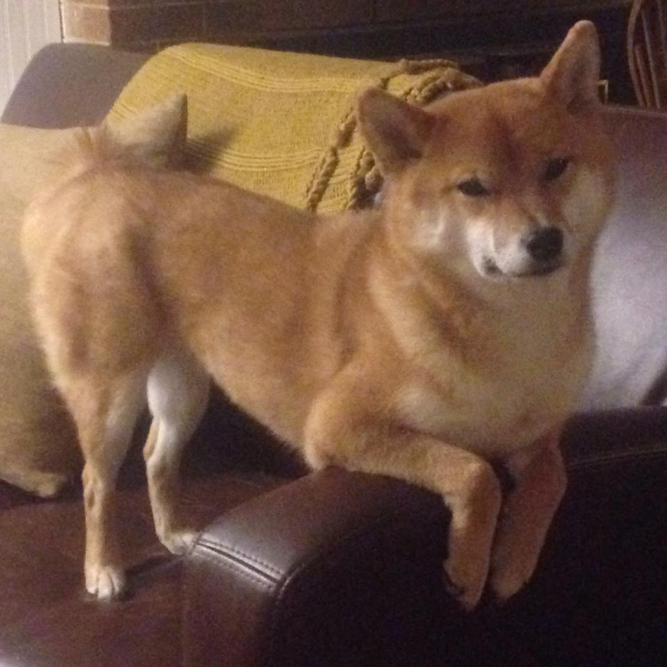 球员生日公益活动走进福利院传递篮球温暖与社会责任