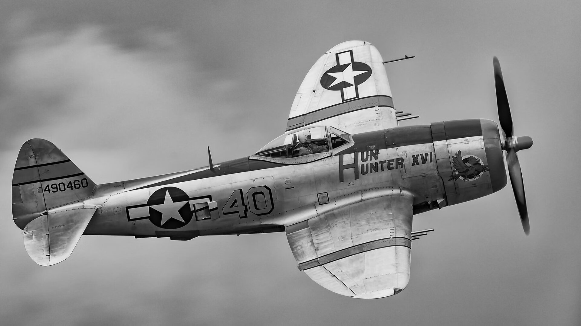 kaiyun登录入口-谢佩玲跳台表现引发媒体关注，谢佩诗个人信息