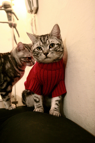 Kaiyun APP-高校篮球推动裁判员专业培训保障比赛质量，校园篮球裁判培训